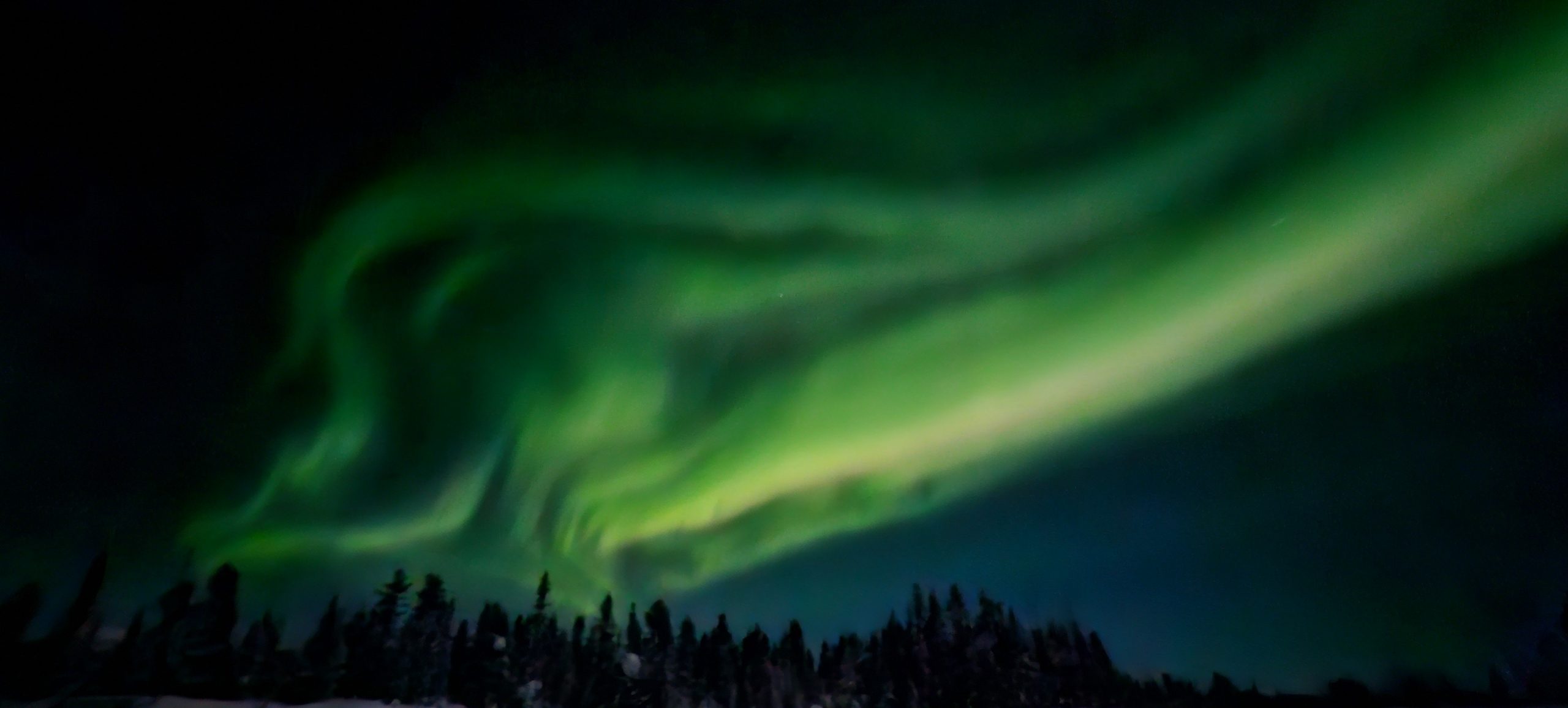 You are currently viewing Résumé Yukon Arctic Ultra 2025 Partie 2